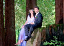 Santa Cruz Hills Park Wedding Photography Couple on Tree _01