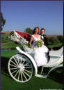 Milpitas Summitpointe Golf Course Wedding Photography - Horse & Carriage